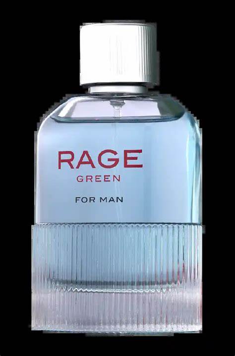 عطر و ادکلن فرگرانس ورد ریج گرین (هوگو بوس سبز قمقمه ای) - Image 3