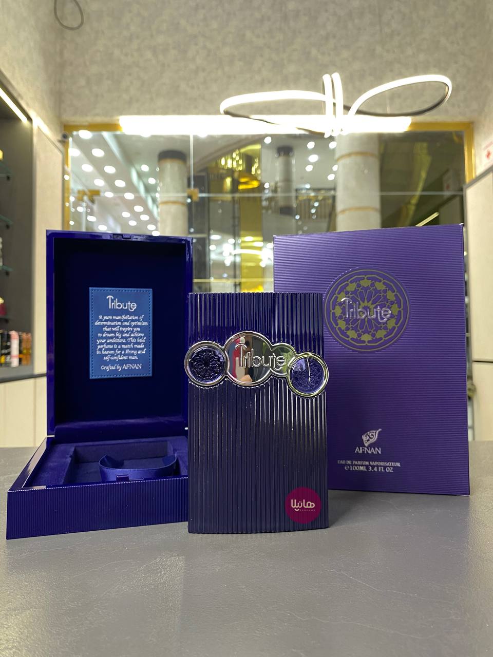 IMG_20241203_194625_670