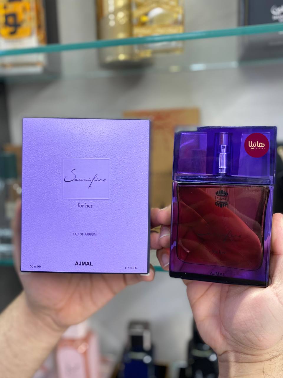 IMG_20241210_115617_607